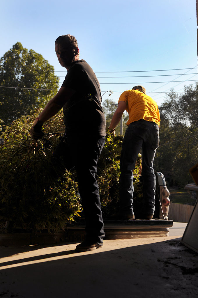DeeGee Rivers, left, and Bo Payne bring in the newly harvested plants to Hemp Hill's drying room on Monday